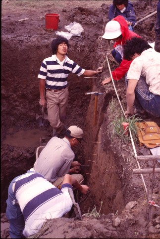 Paleoenvironmental study in the low-lying wetland