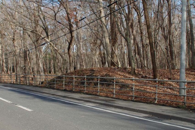 Cross section of Earthwork Burial Circle No. 2 (Nov. 2012)