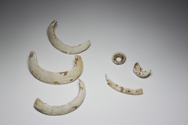 Shell bracelets