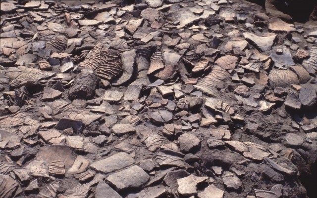 North mound