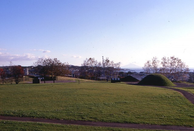 Site overview