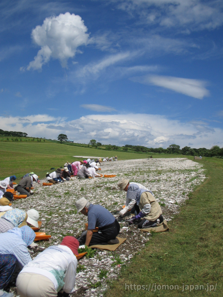 北黄金貝塚 復元された貝塚 北海道 北東北の縄文遺跡群