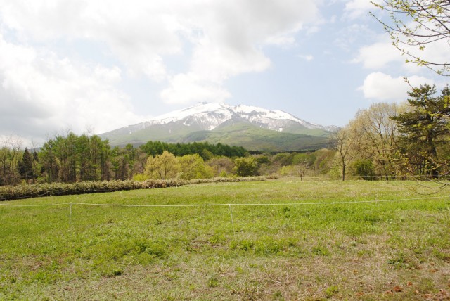 Mt. Iwaki seen from the heights of the site