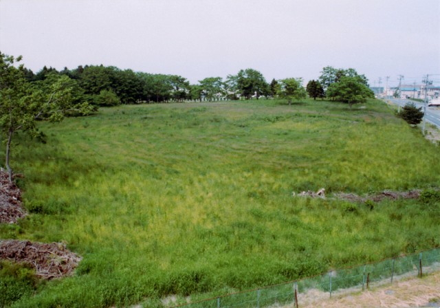 Close-up view of the site