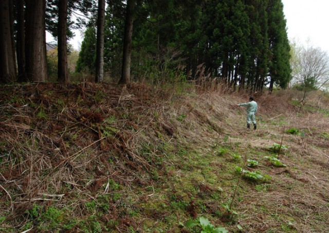 Current situation of the earthwork mound, Kakinoshima Site
