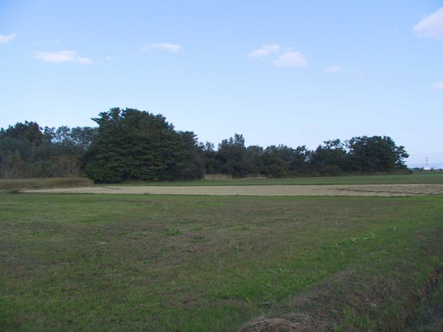 Distant view of the Tagoyano Shell Midden