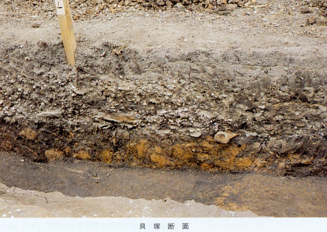 Cross section of the shell layer in a pit dwelling