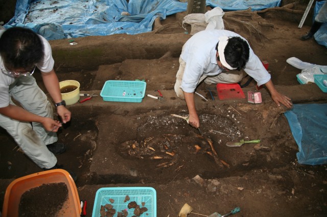 Work to find human bones