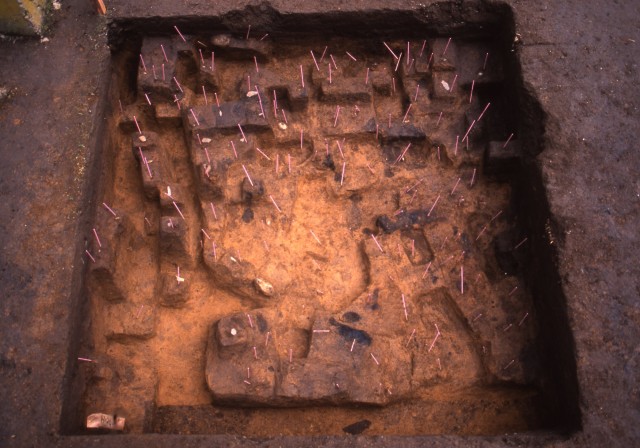 Remains excavated from the Odai-Yamamoto Site