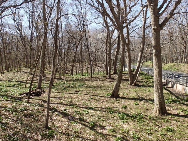 Close-up view of Earthwork Burial Circle No. 2 (May 2013)