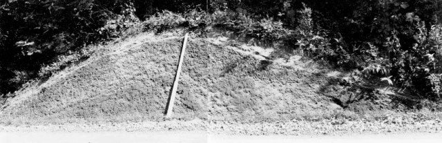 Cross section of Earthwork Burial Circle No. 2 (1965)