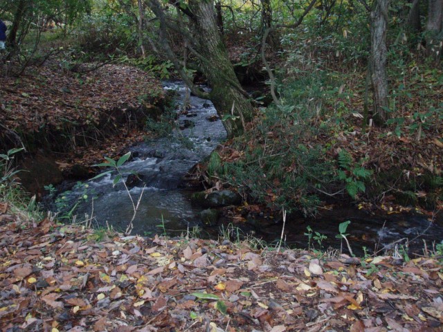 Omori River