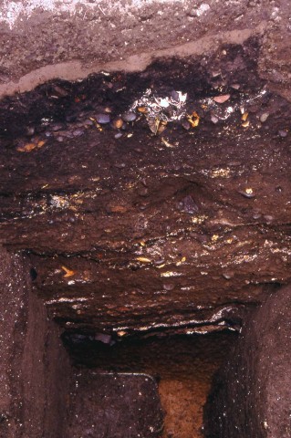 Cross section of the Irie Shell Midden (C point)