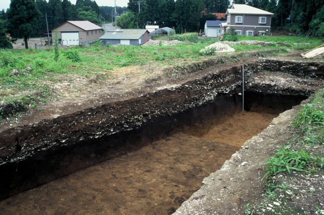 Shell midden