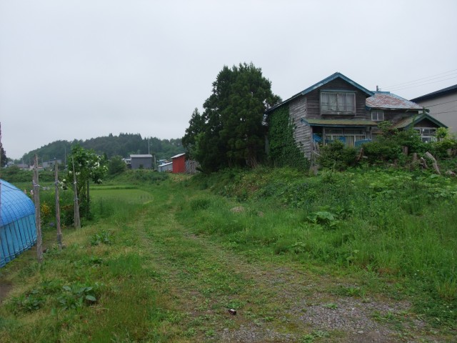 Current situation of the Odai-Yamamoto Site