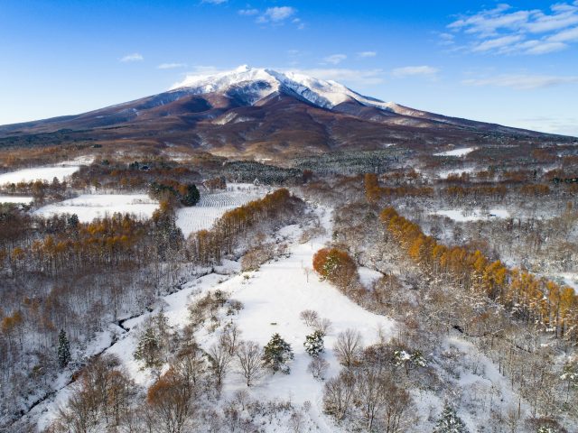 Omori-Katsuyama Site in Winter