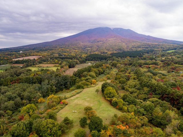 Omori-Katsuyama Site in Autumn