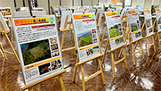 展示パネルがずらりと並んでいる