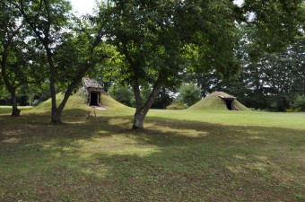 クリの木と土屋根住居