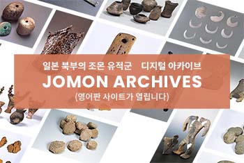 가메가오카 석기시대 유적アーカイブ