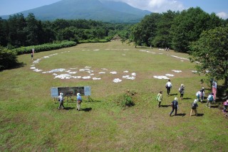 展望台からの眺め