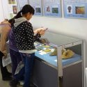出土品の展示