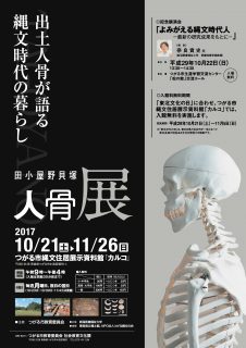 人骨展チラシ