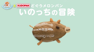 いのっちの冒険