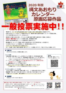 一般投票チラシ