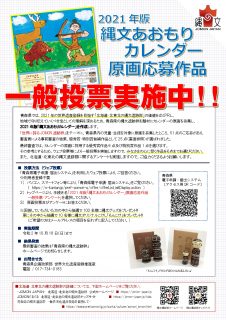 一般投票チラシ